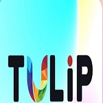 tulip